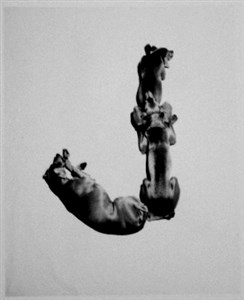 Image description is not available for 2001.068